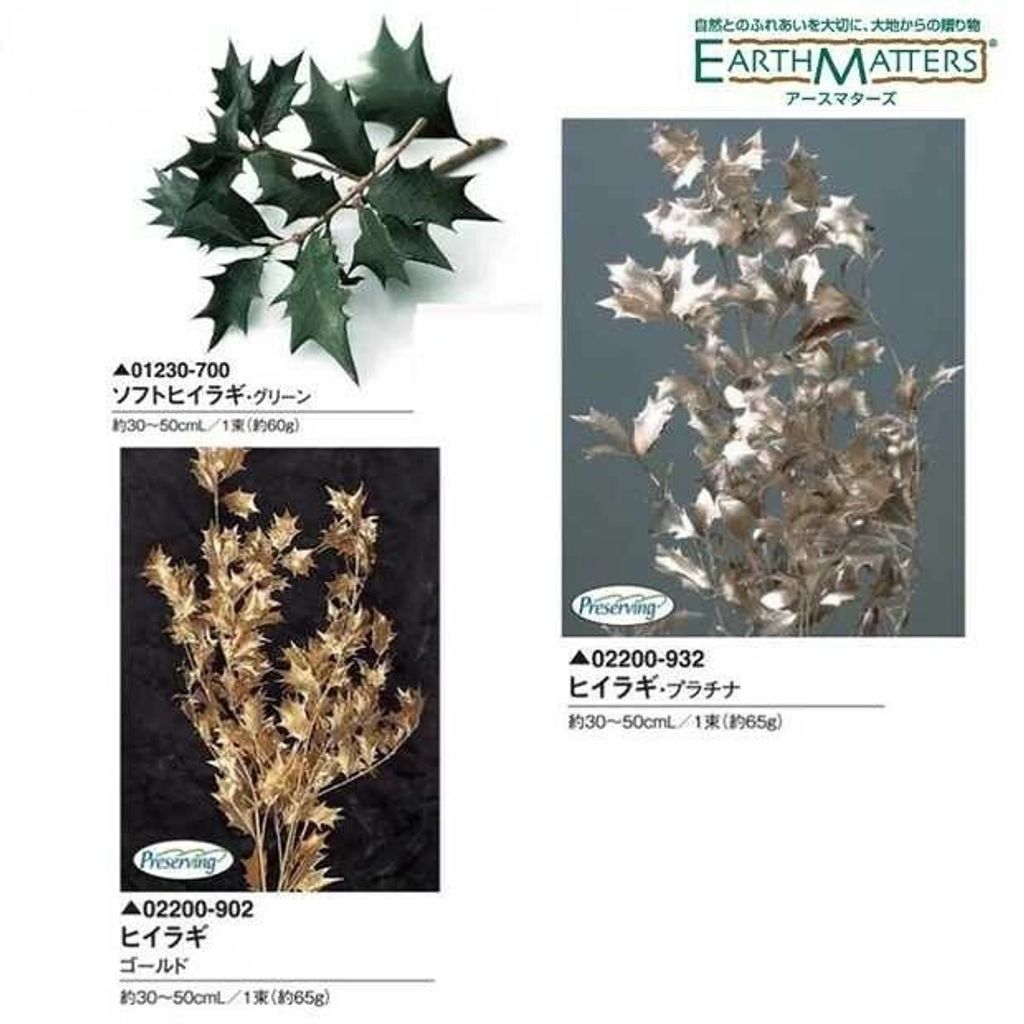 拾花 日本大地農園柊樹 冬青葉