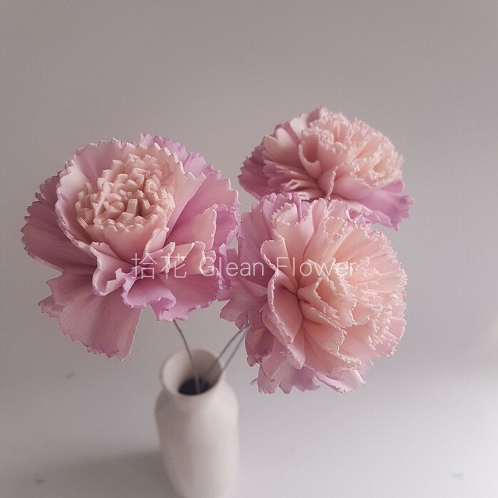 拾花 乾燥花素材手工索拉花雙色康乃馨紫