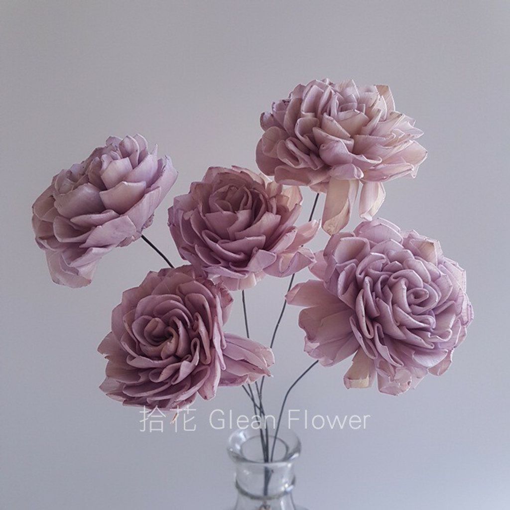 拾花 乾燥花素材索拉花大理花 大 淺紫