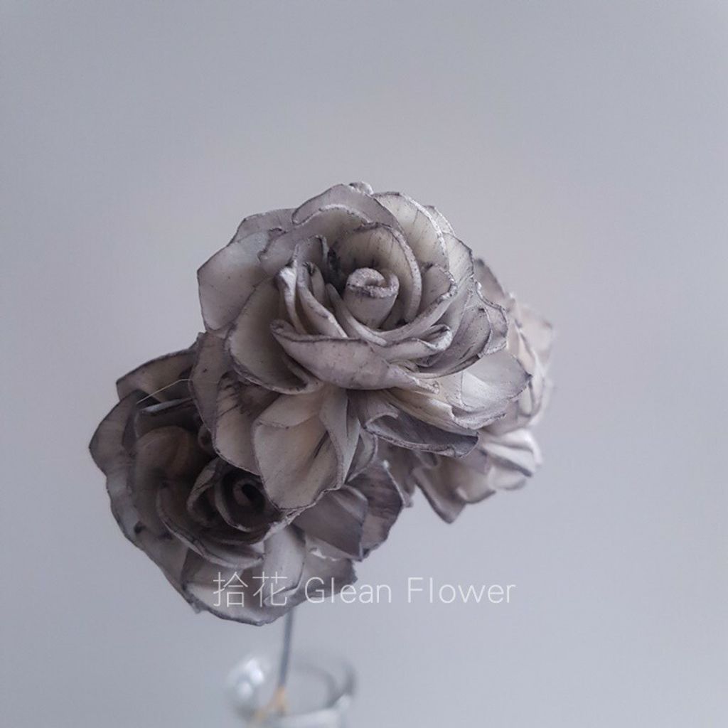 拾花 乾燥花素材大理花索拉花 小 灰色