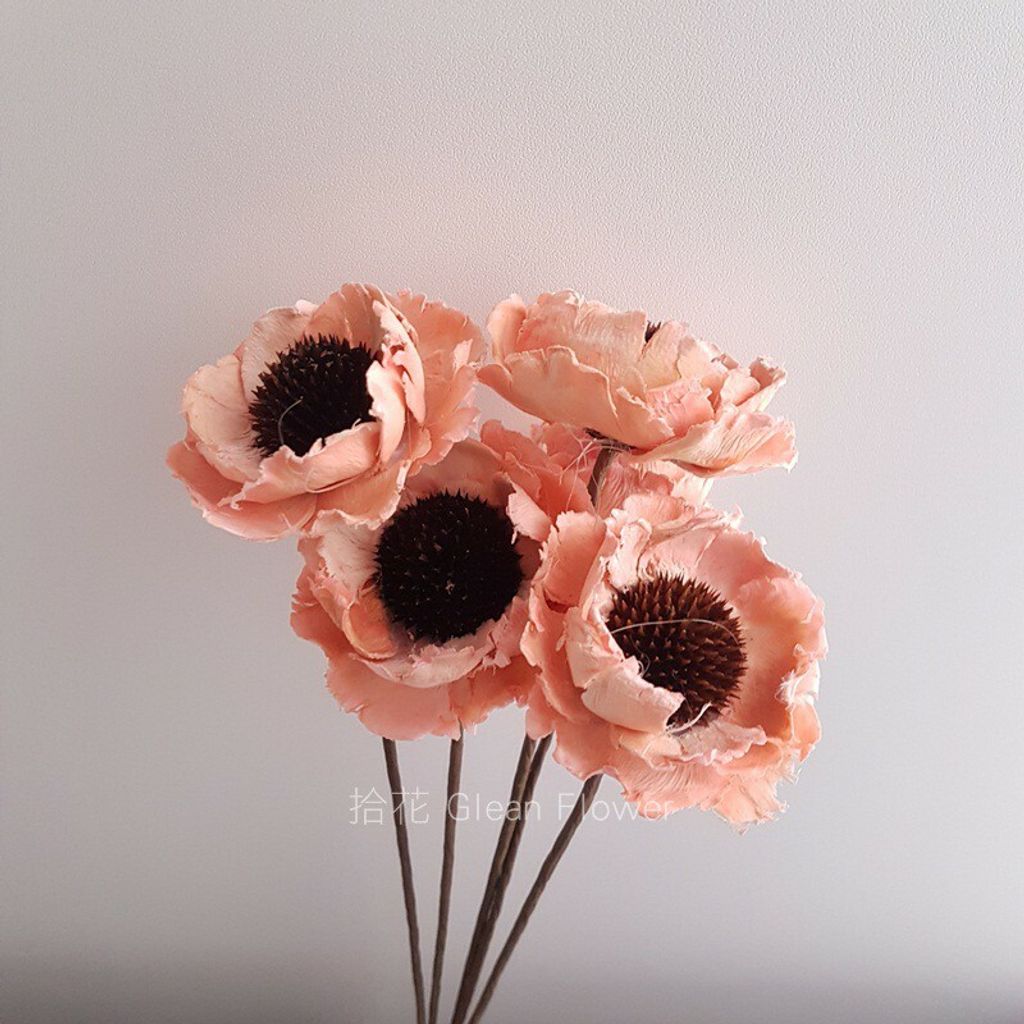 拾花 虞美人手工花粉色乾燥花素材