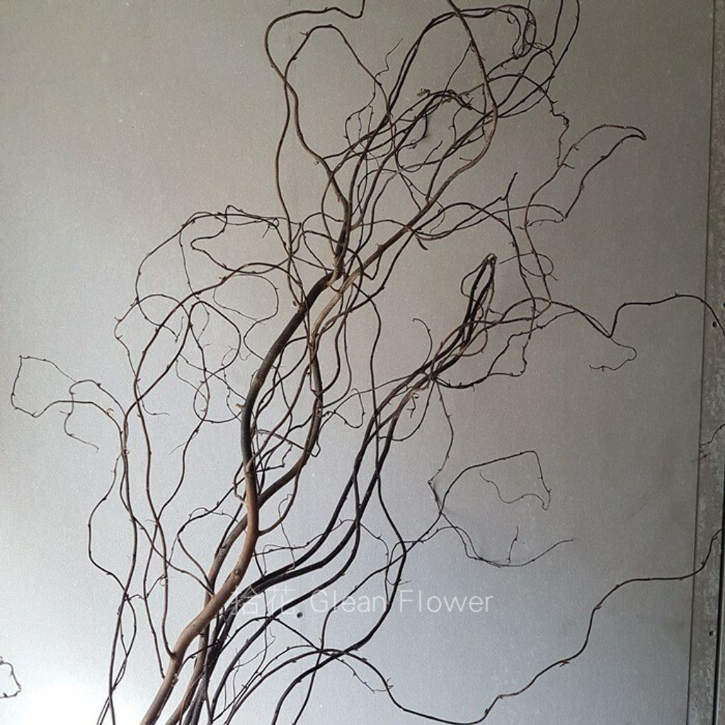 拾花 乾燥花素材雲龍柳