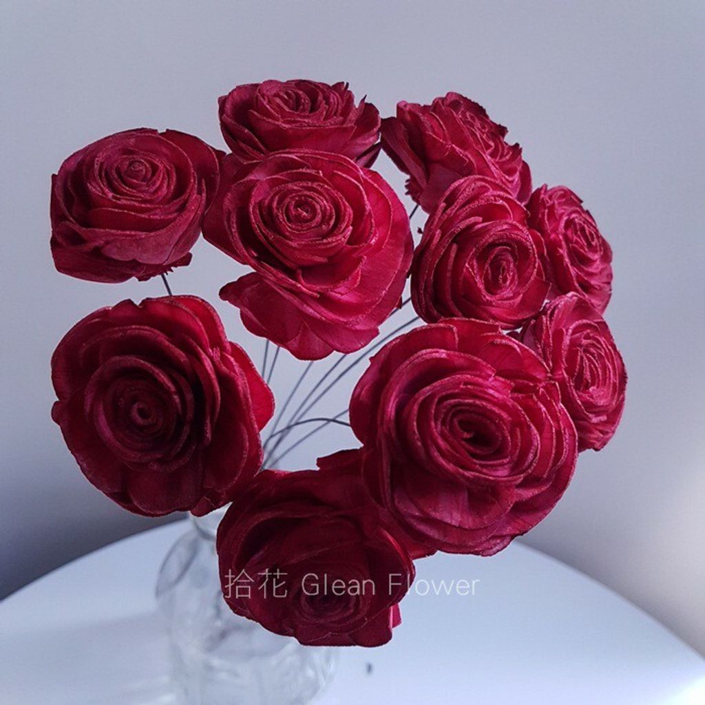 拾花 陸蓮索拉花深紅乾燥花素材