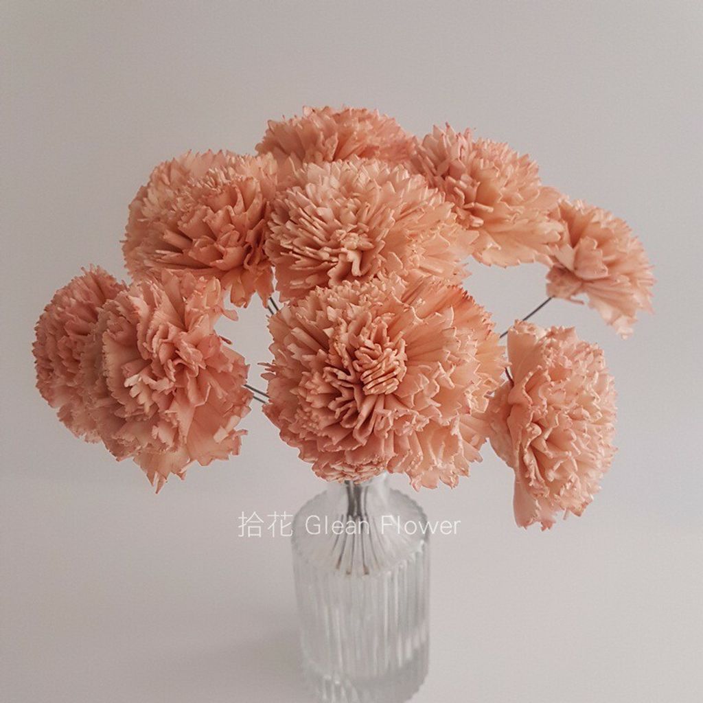 拾花 康乃馨索拉花大朵 豆沙 乾燥花素材