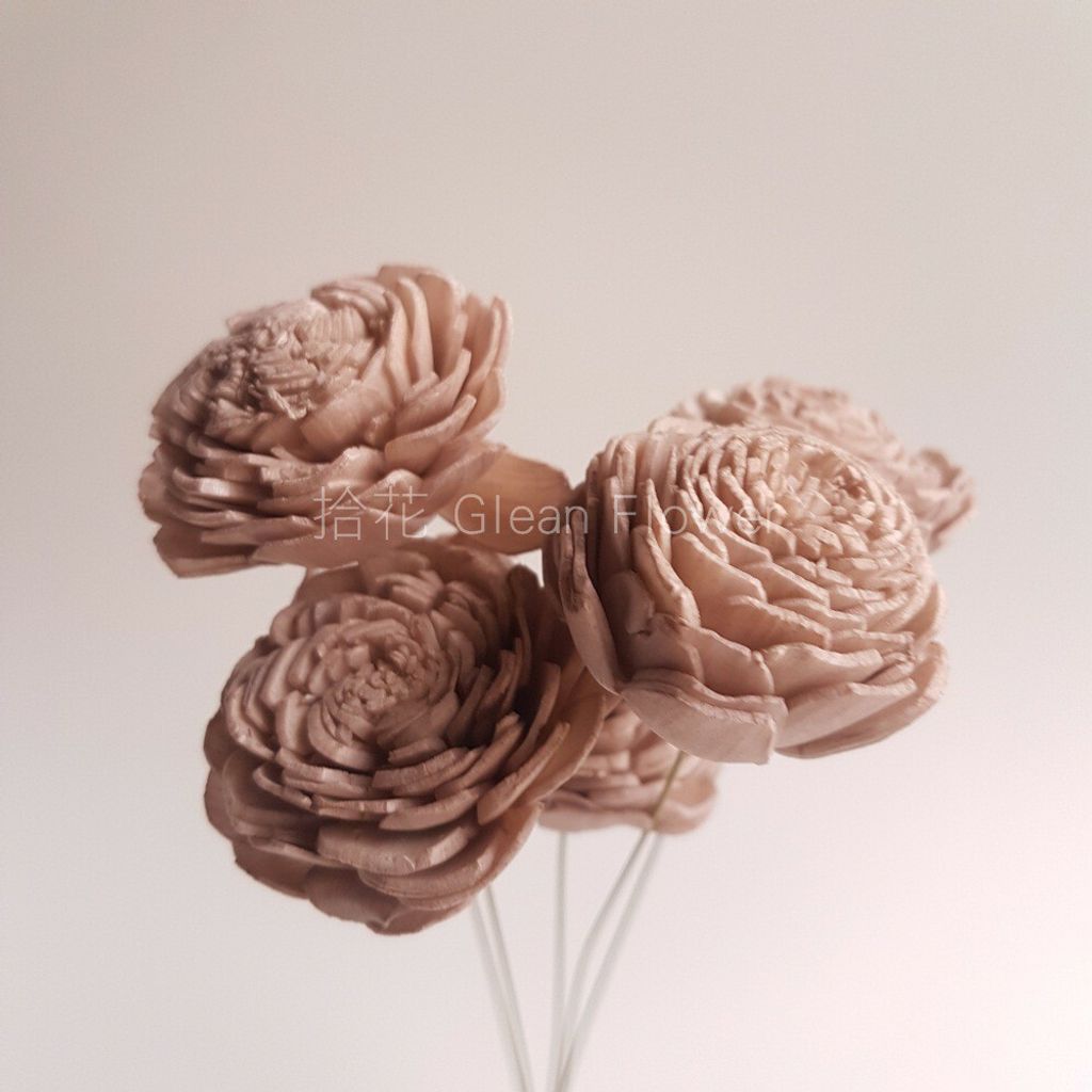 拾花 乾燥花素材日本陽玫瑰索拉花小朵奶茶色38 1 080