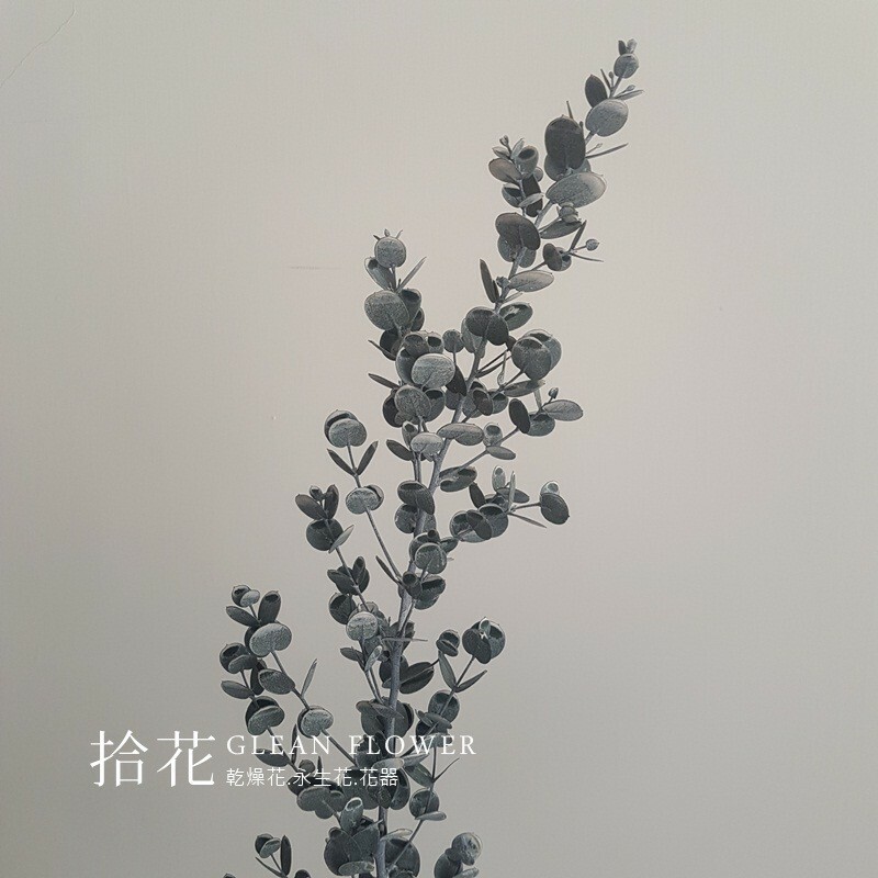 ee21e996372edceb85049ab265380920.jpg
