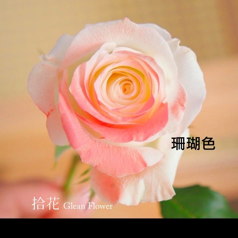 LINE_ALBUM_鮮花噴漆350元_220618_18.jpg