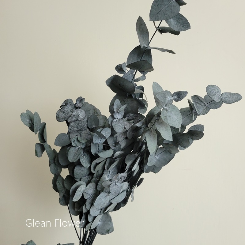 sg-11134201-22110-i65632dvxmjvd3