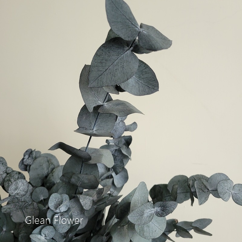 sg-11134201-22110-i22we6dvxmjv52