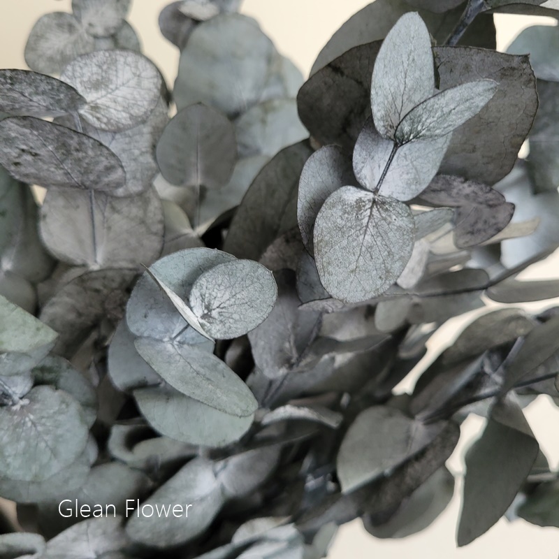 sg-11134201-22110-c4txs7dvxmjvb5