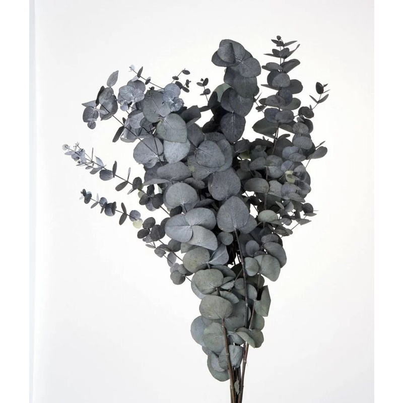 sg-11134201-22110-re5s4mhvxmjv69