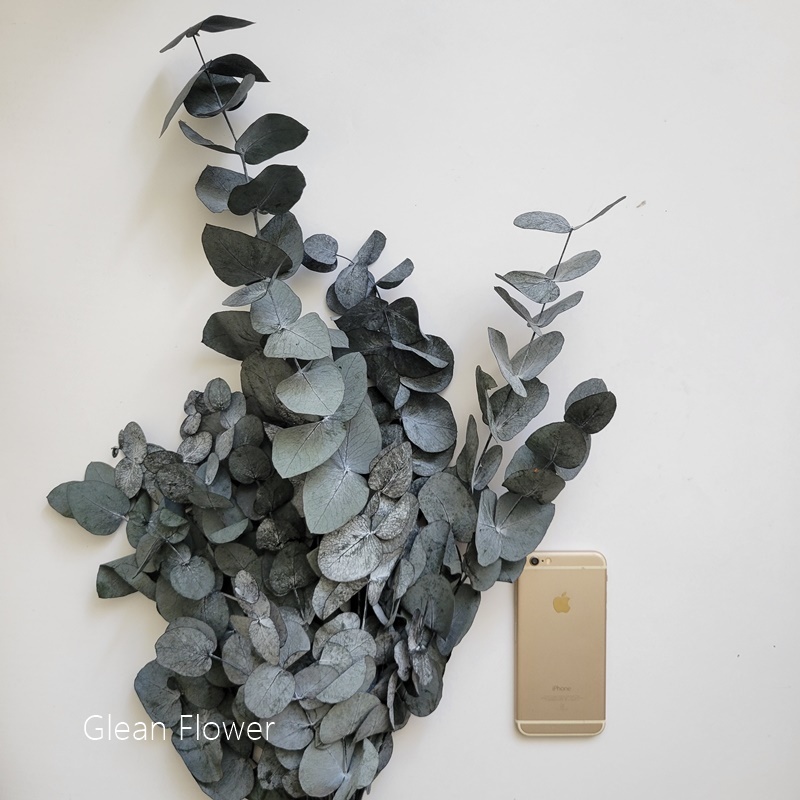 sg-11134201-22110-z0uxu5dvxmjvbe