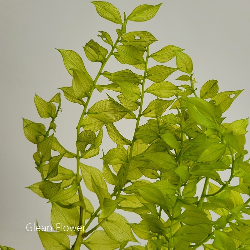 sg-11134201-23010-muejposmotlv15