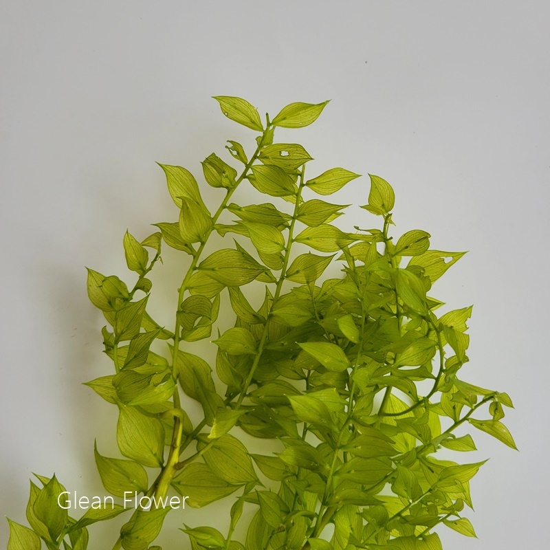 sg-11134201-23010-23gnxlsmotlvaf