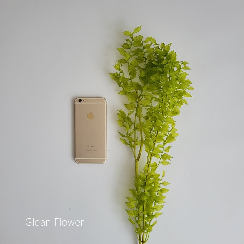 sg-11134201-23010-2j5rpjsmotlv32