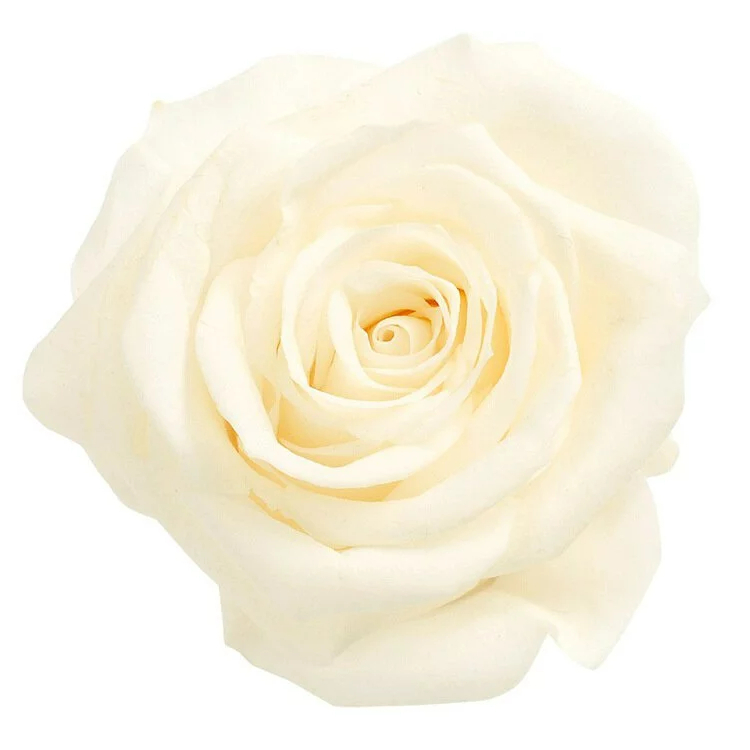 tw-11134207-23020-swfvye4w9mnv19