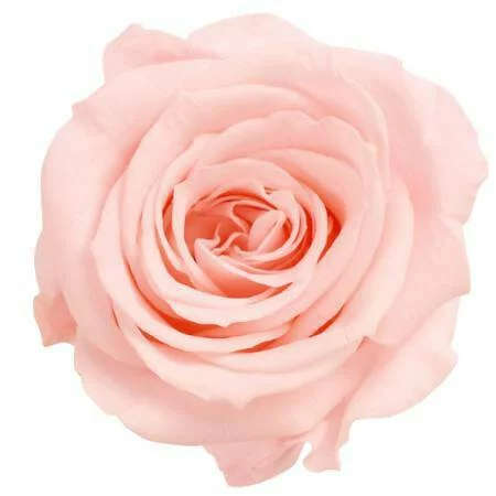 tw-11134207-23020-w8qq92kyzsnv84