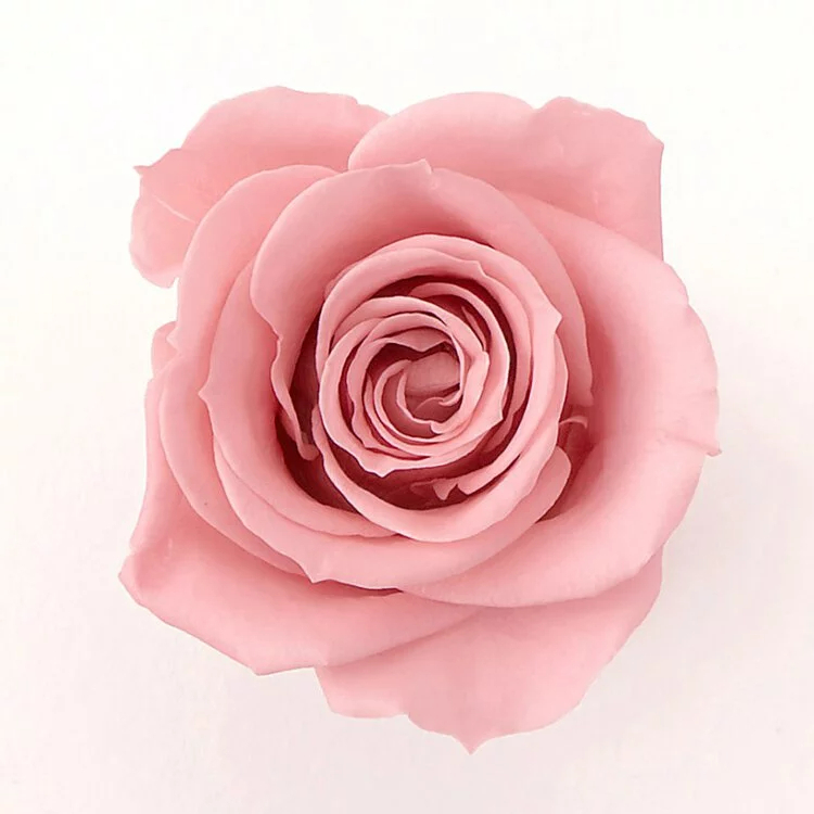 tw-11134207-23020-at7yzvc3zsnvbd