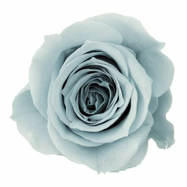 tw-11134207-23020-7lmrhwd7zsnv46