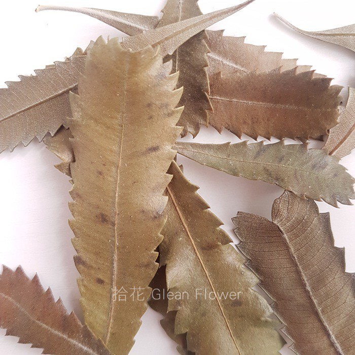 b5af2c4f52cd29c0aaef992f1ef47dae