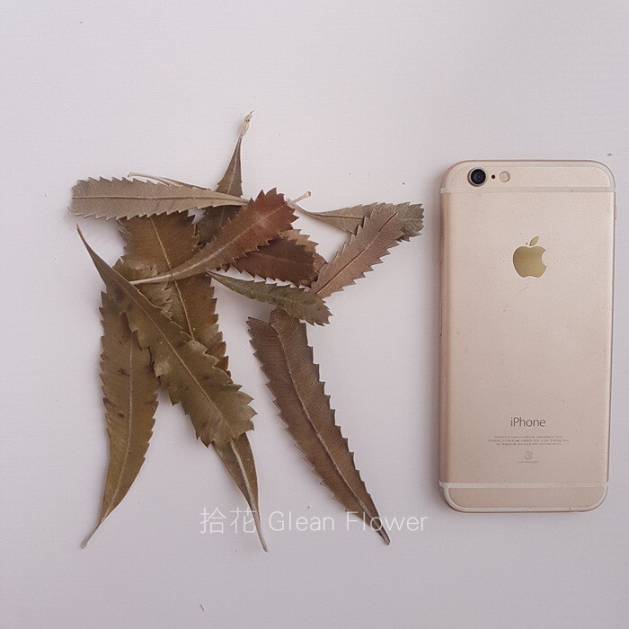 16bb0024f2f6db853b380f2650a44d99