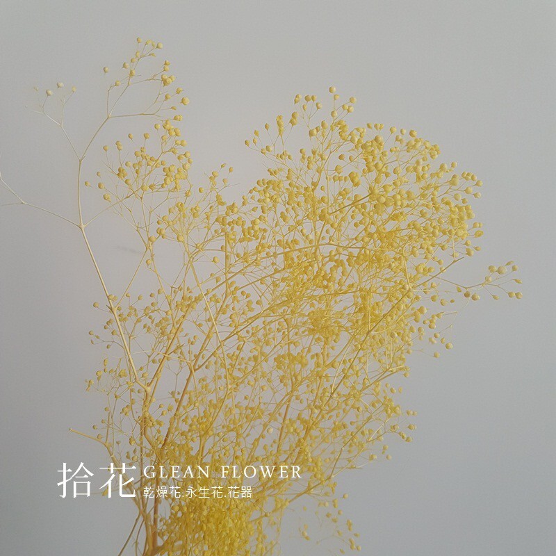 7447230bac0ff43778a122c6a4ddd1b8