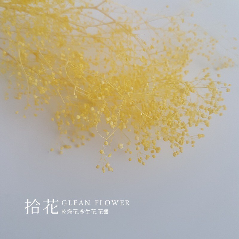 603b8d26a441a5af35015913b46ad9a4