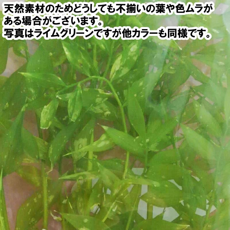 tw-11134207-7r98p-lmd6639bue1n37