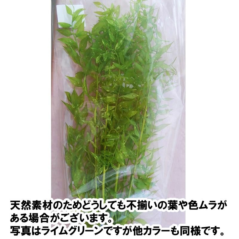 tw-11134207-7r98y-lmd6639bvsm370