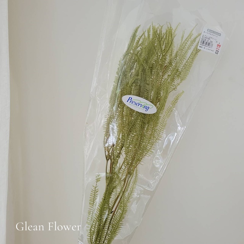 tw-11134207-7r98u-lsgmwzys20i0cb