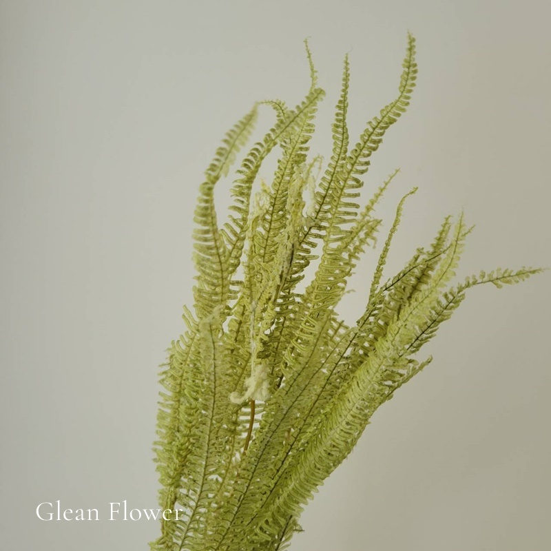 tw-11134207-7r98p-lsgmwzysenm0da