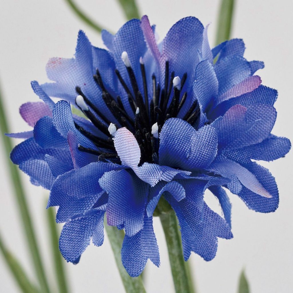 tw-11134207-7r98p-lsf3j4t1m6s263