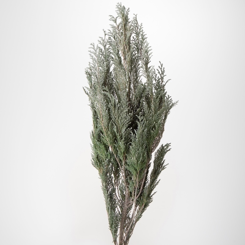 tw-11134207-7rasf-m1e4f9b0osgk8d