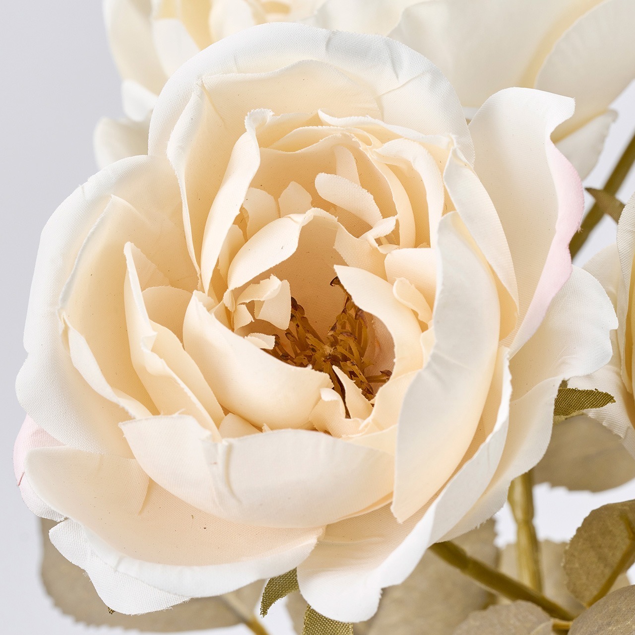 imgi_126_4967116773364