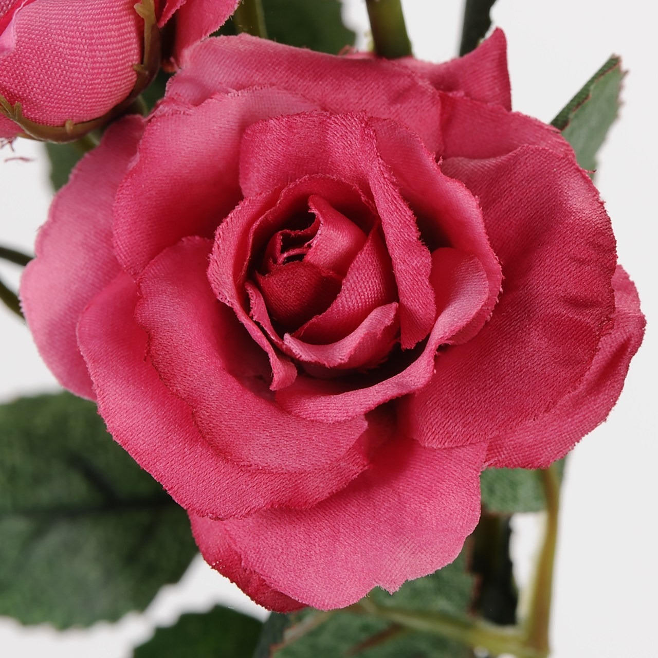 imgi_124_4967116541819