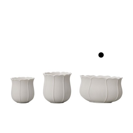 imgi_4_4982023094487_2