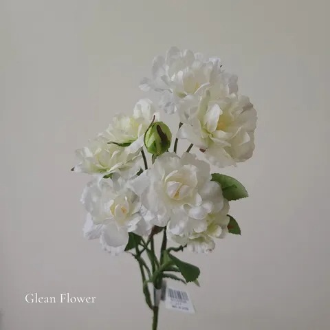 imgi_7_60059463