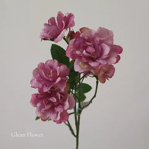 imgi_9_60059465