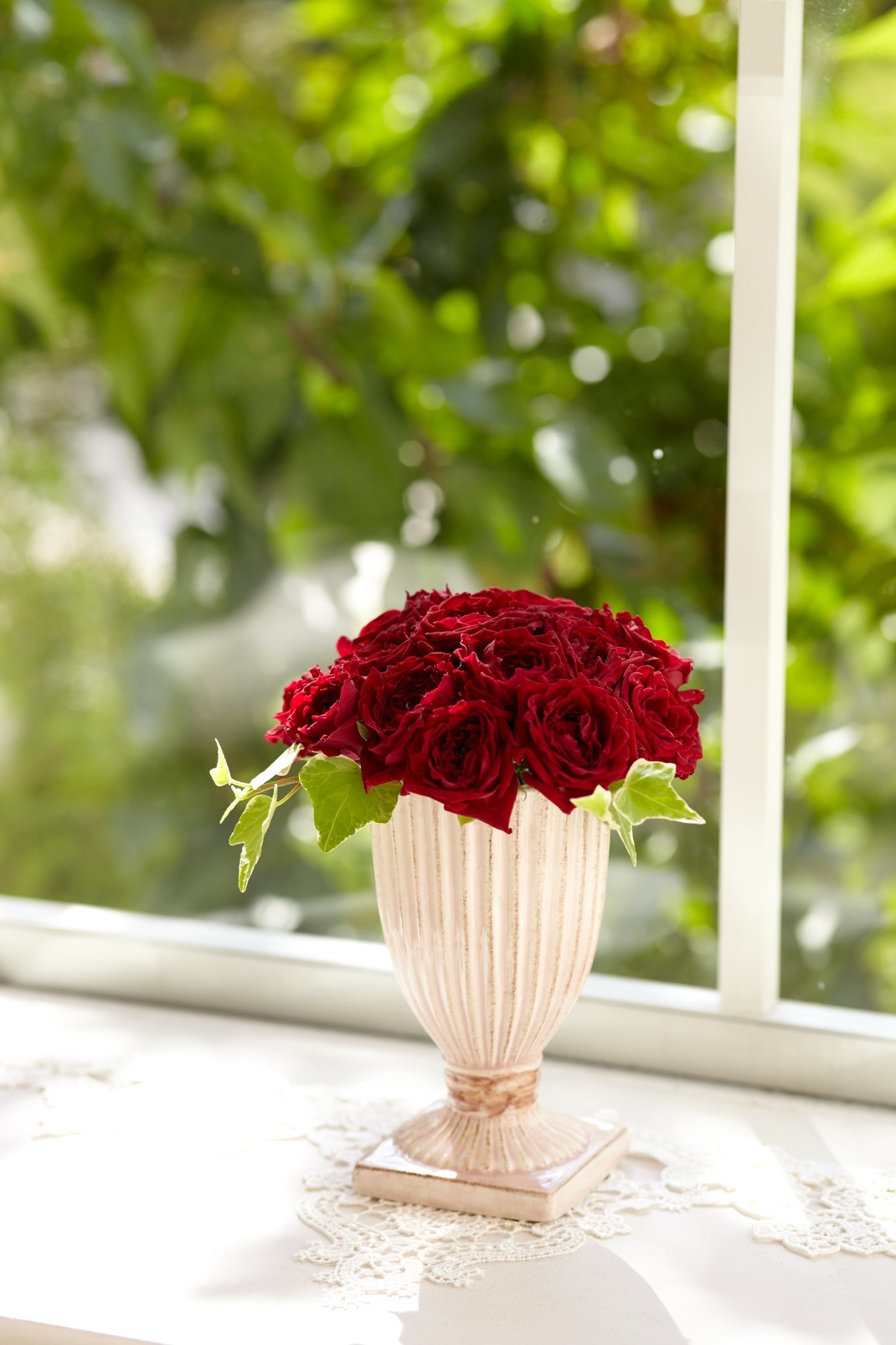 imgi_3_4982023054924_3