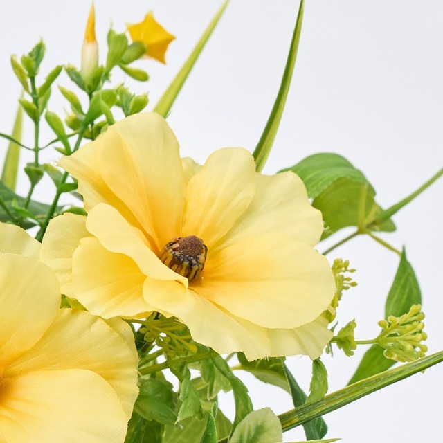 imgi_124_4967116912534