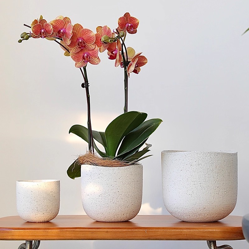 imgi_59_O1CN010TOD2j1F7ZAgF8Mqx_!!57380440