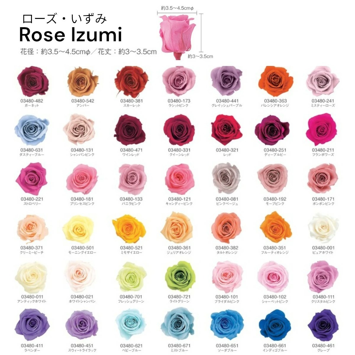 imgi_12_compass1717652893