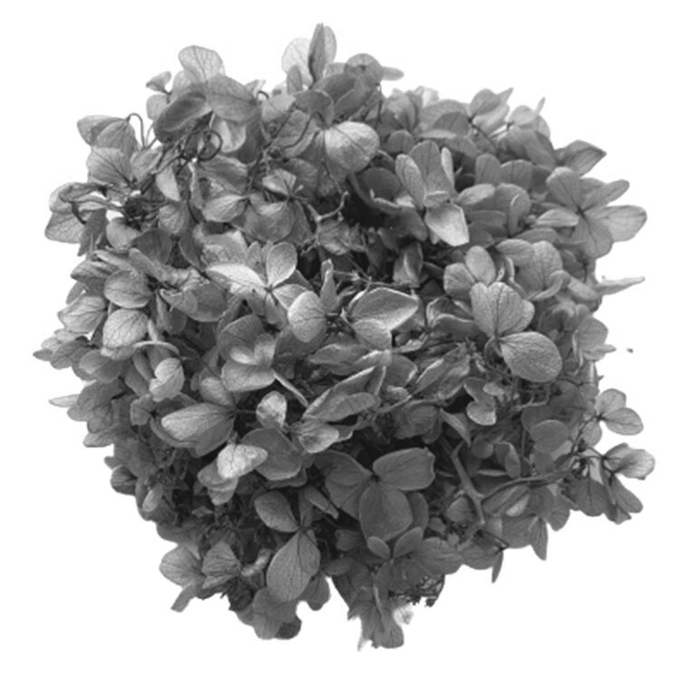 imgi_39_original