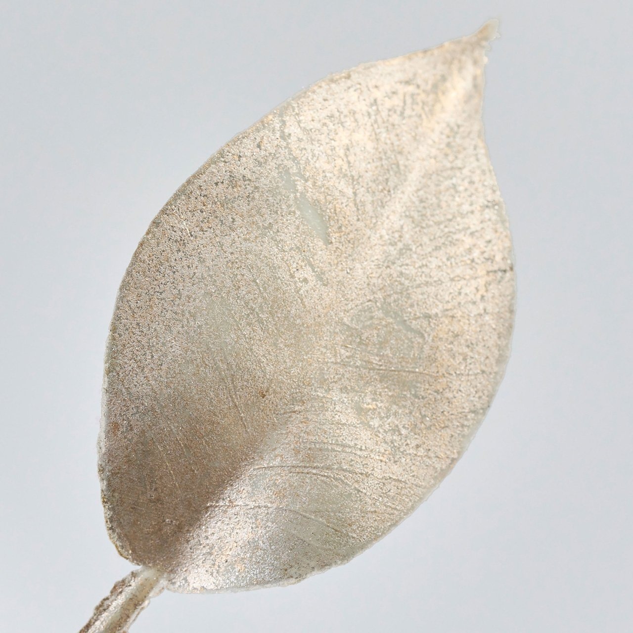 imageye___-_imgi_74_4967116818973