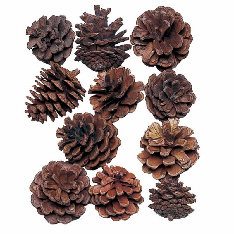 imgi_39_4940095661907