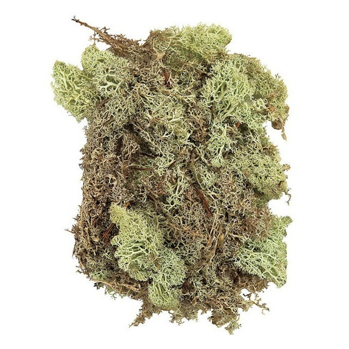 imgi_63_imgrc0078797925