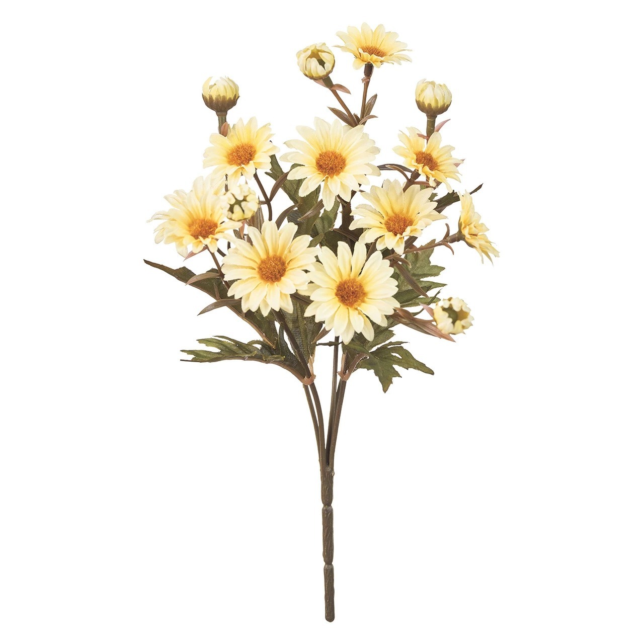 imgi_42_4967116944689