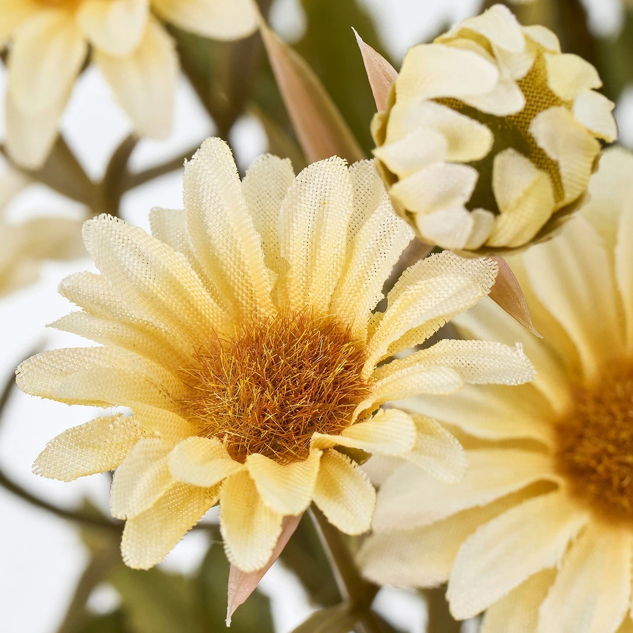 imgi_43_4967116944689