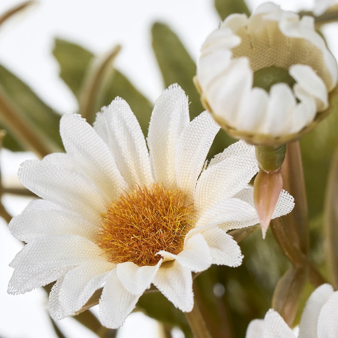 imgi_42_4967116944627