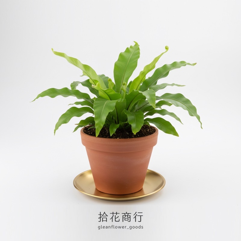 e8150024afbec4be56dda76543f787d7